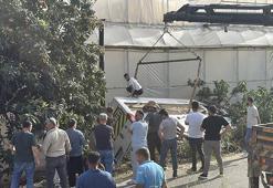 Öğrenci servis minibüsü bahçeye devrildi: 6 yaralı