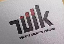 TÜİK: Ortalama hanehalkı büyüklüğü 3,08'e geriledi