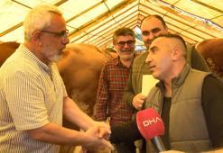Bahçelievler kurban pazarında sıkı pazarlık: 'Abim bizi terleterek baya yordu'