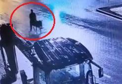 Kuyumcu dükkanından ziynet eşyası çalıp, eşekle kaçan sanığın savunmaları samimi bulunmadı