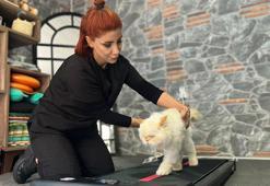 18 yaşındaki kediye fizyoterapi desteği
