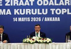 Cevdet Yılmaz: Tarımda yükselen yaş ortalamasını geriye çevirmemiz gerekiyor
