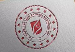 Deniz üstü rüzgar YEKA için 4 alan belirlendi