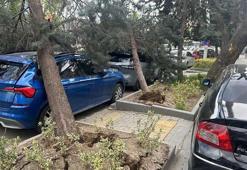 Ankara'da kuvvetli rüzgar; ağaçlar devrildi, araçlar zarar gördü