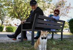 Papyonlu kedi 'Foça', emekli çiftin hayatını değiştirdi
