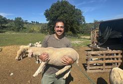 Şehir hayatını bırakıp kırsala yerleşti, hayvancılığa başladı