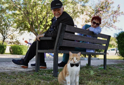 Papyonlu kedi 'Foça', emekli çiftin hayatını değiştirdi
