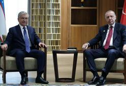 Cumhurbaşkanı Erdoğan, Özbekistan Cumhurbaşkanı Mirziyoyev ile görüştü