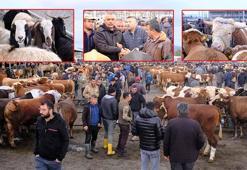 Türkiye'nin en büyük canlı hayvan pazarında 'kurban' hareketliliği