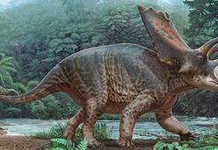 Tayland'da yeni bir dinozor türüne ait kalıntılar bulundu