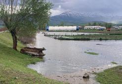 Erzincan'da aşırı yağış, ekili arazileri vurdu