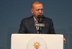 Cumhurbaşkanı Erdoğan: Artık annelerin yüreğine ateş düşmesin diyoruz