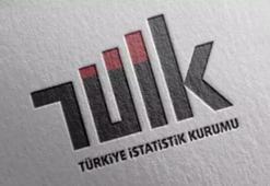 TÜİK: Suçtan korunmak için alınan en yaygın önlem çelik kapı oldu
