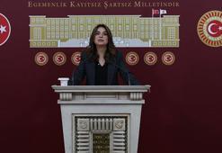 DEM Parti'li Koçyiğit: Barışın hukuka ihtiyacı var