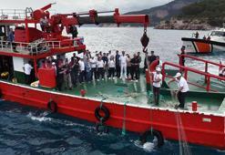 Antalya'da deniz dibinden 500 metre uzunluğunda hayalet ağ çıkarıldı