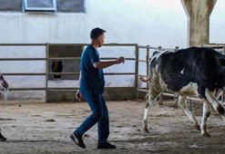 Hayvan yakalama timi, kaçan kurbanlıklar için göreve hazır