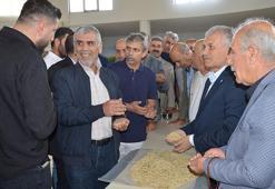 Mardin’de sezonun ilk arpa hasadını yapan çiftçi, gram altınla ödüllendirildi