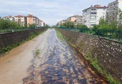 Kastamonu'da dereye kimyasal atık karıştı