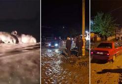 Hatay'da sağanak; hayvan pazarını su bastı