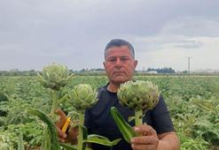 KKTC'de ilk kez yediği enginarı memleketinde üretti