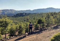 Muğla'da ormanlara giriş yasağı