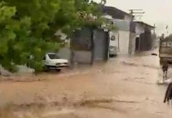Aydın'da sağanak ve fırtına; mahsur kalan küçükbaş hayvanlar kurtarıldı