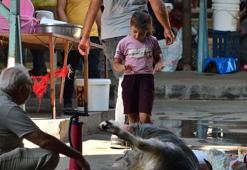 '12 yaşından küçüklere kurban kesimini göstermeyin'