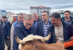 Vali Polat, kurban pazarlığında ara buluculuk yaptı