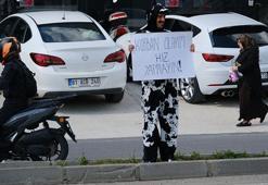 Akan trafikte inek kostümüyle sürücülere hız yapmayın uyarısı