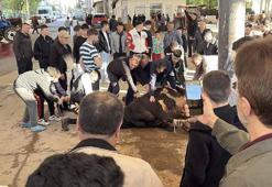 Sivas'ta kurban kesim noktalarında hareketlilik