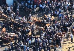 Sultangazi'de kurban kesim alanındaki yoğunluk havadan görüntülendi
