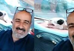 Kurbanlık koyunuyla yolculuğu dikkat çekti