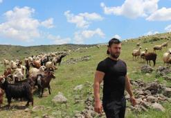 Köyüne dönüp hayvancılığa başladı, 2 yılda bin 300 koyunu oldu