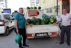 'Fiyatı sorulmayan' karpuzun hasadı başladı