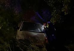 Bursa'da otomobil zeytinliğe uçtu: 2'si çocuk 4 yaralı