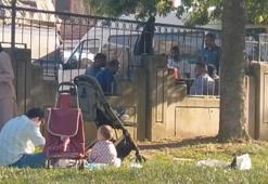 Pendik’te kaldırımda mangal, parkta piknik yaptılar; cezadan kaçamadılar