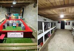 Artvin'de 'horoz dövüşü' operasyonu; 39 kişiye toplam 508 bin 248 TL ceza
