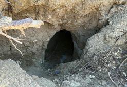 Orman yangınının ardından ortaya çıkan tümülüs definecilerin hedefi oldu