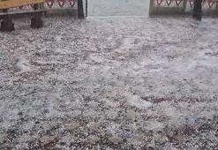 Ordu'da dolu yağışı etkili oldu