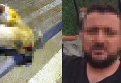 Oğlunu ısıran köpeği öldüren kişiye verilen beraat kararını istinaf bozdu