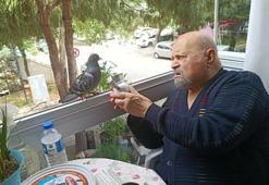 90 yaşında 2 bacağı protez ama beslediği güvercin ‘Sakat’ için oğlunun yanına gitmiyor