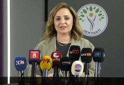 DEM Parti'li Doğan'dan 'Terörsüz Türkiye' süreci açıklaması