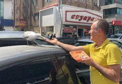 Martı ‘Pamuk’ esnafın maskotu oldu