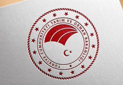 Türkiye, 'Safe2Eat' kampanyasına ikinci kez katıldı