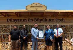 Adana'da hayata geçirilen 'arı oteli' dünyanın en büyüğü; Guinness tescil etti