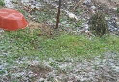 Manisa'da dolu yağışı tarım alanlarına zarar verdi