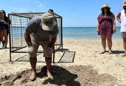 Aydın'da ilk caretta caretta yuvası Didim'de tespit edildi