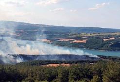 Kırklareli ve Tekirdağ'da ormanlara giriş yasağı