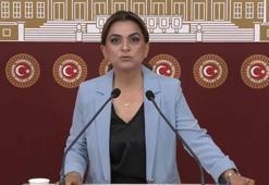 DEM Parti'li Koçyiğit: Barışın hukuksal bir güvenceye ihtiyacı var