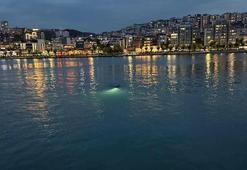 Ekipleri harekete geçiren deniz kıyısındaki eşyalar, profesyonel yüzücünün çıktı